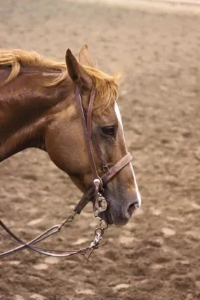 Cowboy Split Ear Headstall